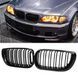 Решетки радиатора BMW E46 рестайлинговые двойные ноздри